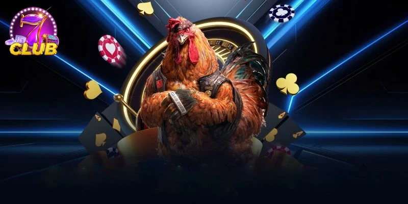 Giao diện ĐÁ GÀ thân thiện và dễ sử dụng