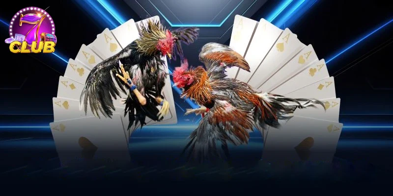 Ưu đãi khuyến mãi hấp dẫn cho người chơi ĐÁ GÀ