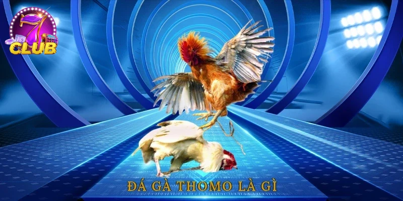 Giao diện sảnh chính ĐÁ GÀ THOMO trên nền tảng chất lượng cao