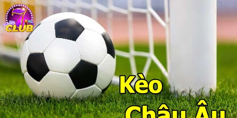 Hình ảnh giao diện đặt cược trên bảng KÈO CHÂU ÂU hiện đại